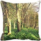 Decorative Cushions For Sofa Nature Throw Pillow Covers 18