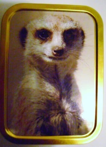 2oz meerkat design tobacco tin