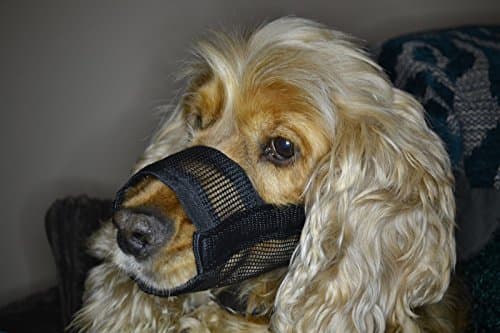 Pet TouchDog Muzzle - S, M, L, XL Great & Easy Design (M)