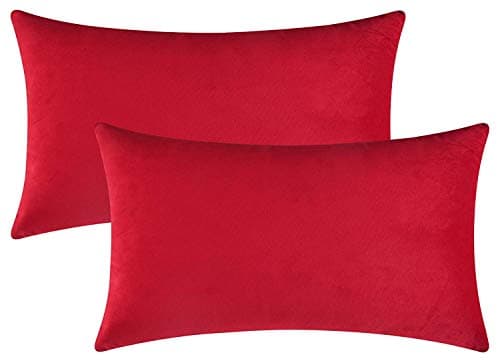 Rythome Set of 2 Comfortable Throw Pillow Covers for Bedding, Decorative Accent Cushion Sham Cases for Couch Sofa, Soft Solid Velvet with Zipper Hidden - 12"x20", Deep Red