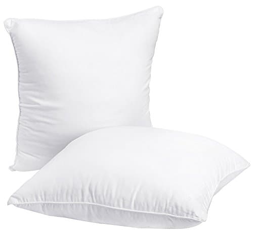 HIPPIH 2 Pack 20 x 20 Pillow Inserts, Hypoallergenic Decorative Square Pillow Form Insert with Zips
