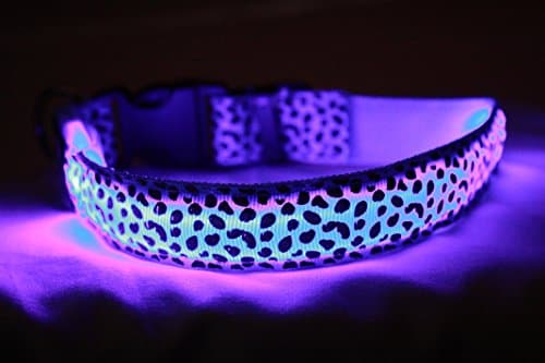 MyPaw LED Rechargeable Dog Collars (Medium, Light Blue) Adjustable Glow in The Dark Flashing Light, Stylish Leopard Print, Great Fun, Improved Dog Visibility and Safety