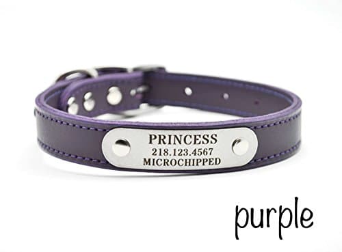 Leather Dog Collar with Personalized Nameplate - PURPLE