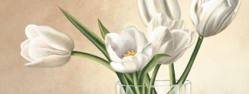 Vaso con tulipani bianchi - Canvas - Medium: 40"x15"