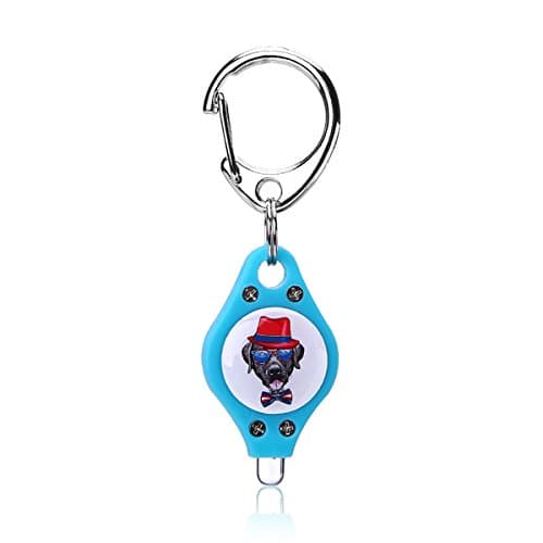 Magicnight 10 Pack LED Flashlight Keychain, Super Bright Mini Flashlights Key Ring Torch Light,LED Dog Collar Light,Blue Color