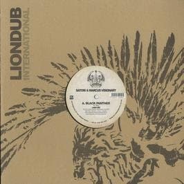 Marcus Visionary & Satori / Black Panther