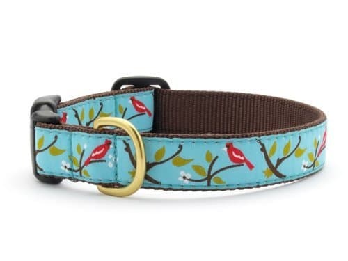 Cardinal Dog Collar with Quick Release Buckle - Medium (12-18 Inches) - 1 In Width