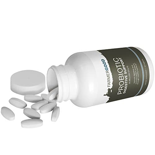 Probiotic Digestive Support, Natural Supplement for Immunity Boost through Healthy Bacteria, 1150mg of 15 Billion CFU/G, 30 Day Supply of 60 Easy to Swallow Tablets, Speed Up Your Bowel Movement Now!