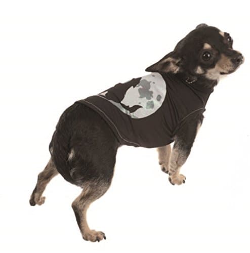 croci Top 2011 Vanity Moon, 45 cm