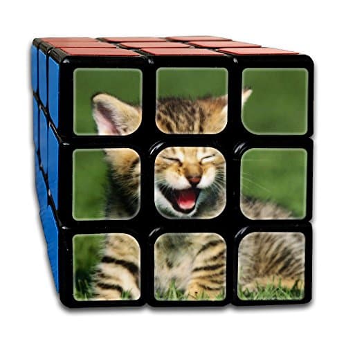 Smooth Sequential Puzzle Toy Tiger House Cat Speed Cube Standard 3x3 Speedcubing Puzzle, IQ Games Puzzles