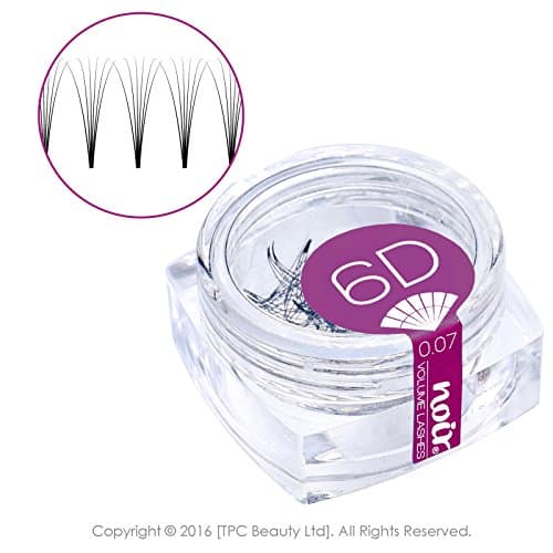 Noir Volume Lashes 6D Pre made Fan Lashes Jar C Curl 0.07 Premade Russian Volume Eyelash Extensions (C 14mm)
