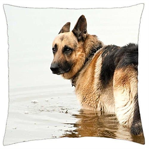 Una Stowe It's too cold water, I will not bathe ! - Throw Pillow Cover Case