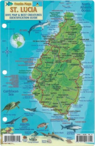 St. Lucia Dive Map & Reef Creatures Guide Franko Maps Laminated Fish Card