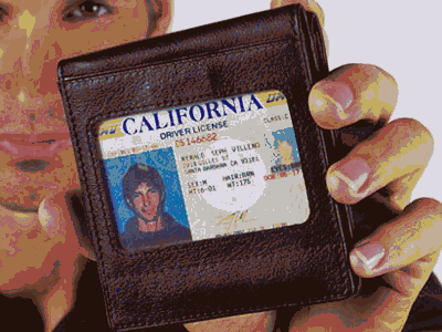 Show-Me ID Wallet (Black) TN213L