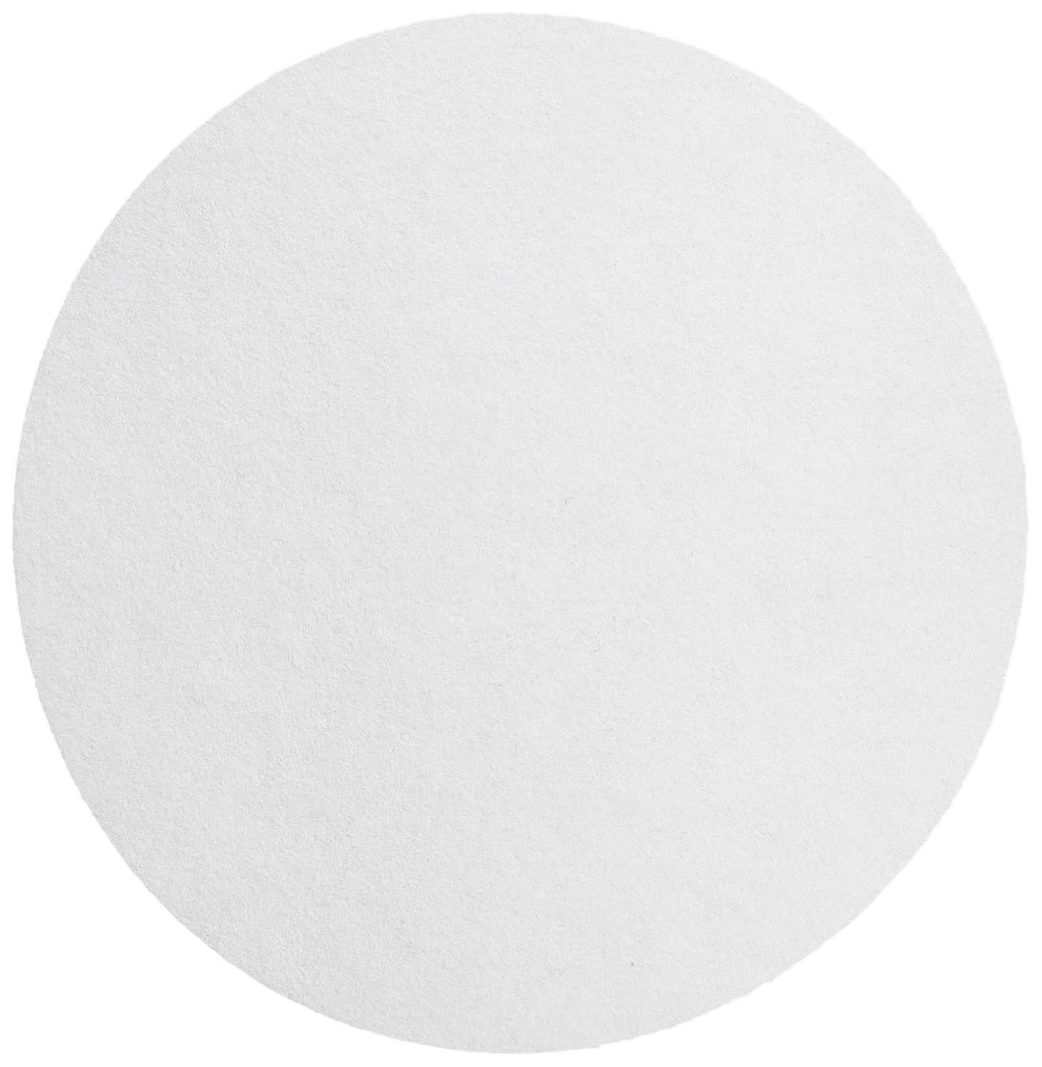 Ahlstrom 6420-2500 Eaton-Dike Filter Paper, 2 Micron, Medium Flow, Grade 642, 25cm Diameter (Pack of 100)