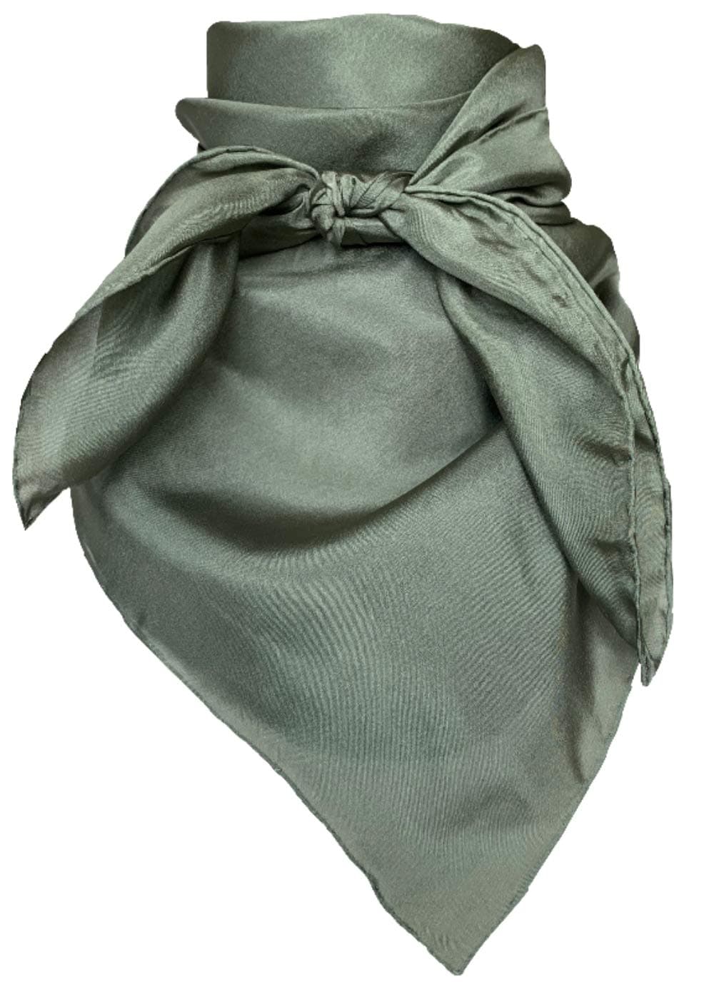 Wyoming TradersMen's Solid Lightweight Breathable Casual Regular Silk Scarf