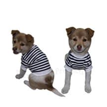 FM PETS Dog T-Shirt