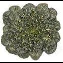 Pak Choi - Tatsoi - Rossetta - 250 Seed