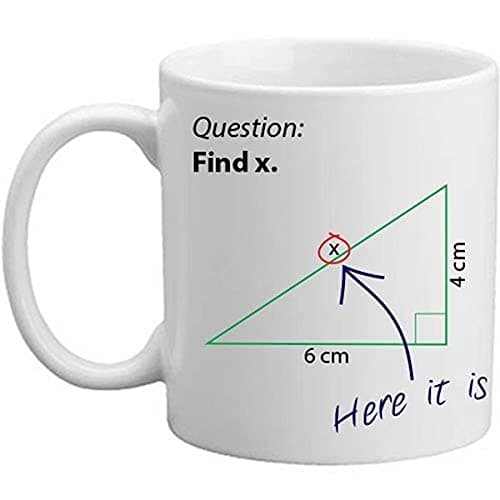 Find X Novelty Mathematics Maths Question Teacher Professor Student Gift Mug - 11oz Present Mug