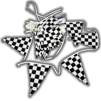 Quinn Flags 100' Checkered 4-Mil Polyethylene 12x18 Pennant String Brand