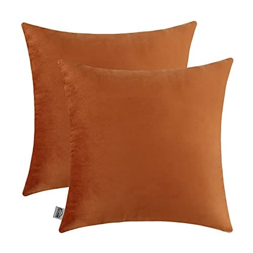 mixeoo Comfy Terracotta Couch Throw Pillow Covers Decorative Square Solid Velvet Soft Cushion Cases Home Decor for Sofa Couch Living Room, Set of 2, 16 x 16 Inch