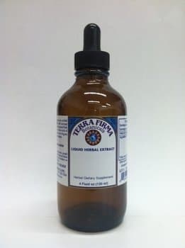 Motherwort Tincture- Liquid Herbal Extract: 4 oz