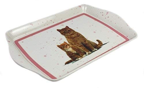 Cat and Kitten Snack Tray (Ginger)