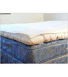 Cuddle Ewe Cotton Flannelette (Queen Size)