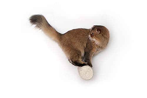 Catastrophic Creations Floating Cat Scratching Post, Hand-Crafted Sisal Cat Scratcher Post, Wall Cat Shelves & Scratching Posts for Indoor Cats, Durable & Modern Cat Furniture (1 Pc, 11” x 4”)