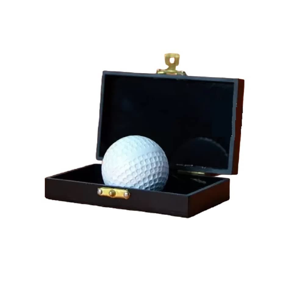 MilesMagic Magician’s Impossible Case Gimmick Plexiglas Briefcase Illusion Box | Produce Big Items from Tiny Props | Close Up Effect Street Stage Magic Trick (Gimmick Box only)