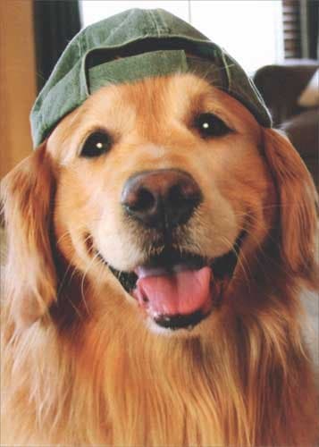 Avanti, Avanti Retriever Baseball Cap