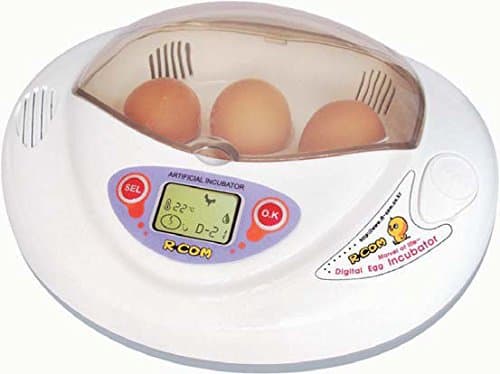 R+Co 2500100 Plastic/Metal Mini Digital Auto-Turning Egg Incubator