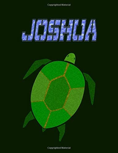 Joshua: Green Turtle Notebook