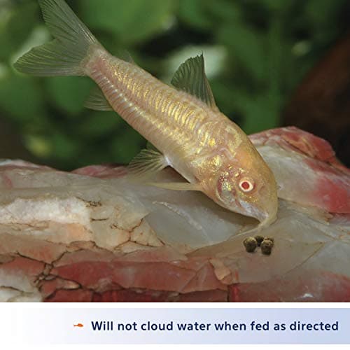 Aqueon Shrimp Pellets Fish Food