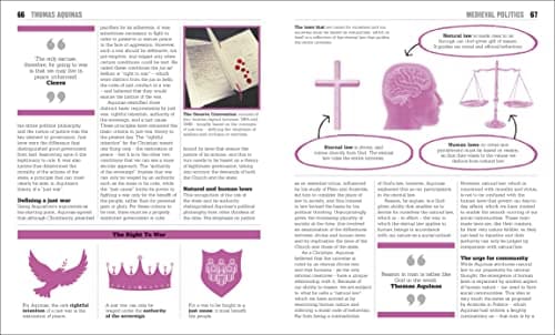 Politics Book ( Big Ideas)