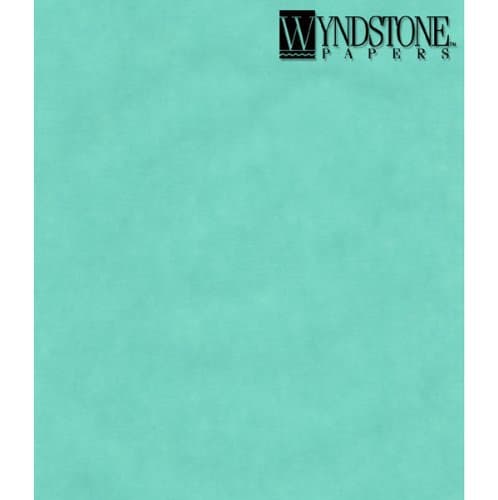 Wyn Colored Vellum Turquoise 19X25