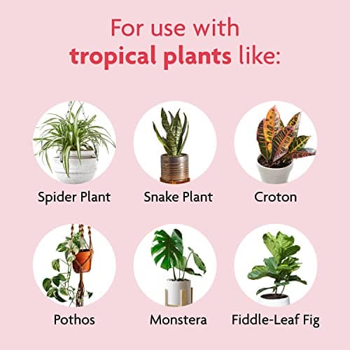 Miracle-Gro Tropical Potting Mix