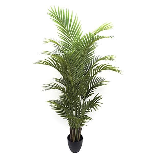 GreenBrokers Artificial 150cm Real Touch Areca Phoenix Palm Tree in Pot, 150 cm / 5ft, 150cm/5ft