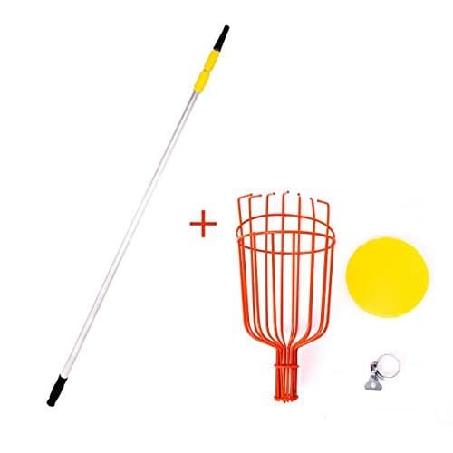 C2F Fruit Picker Catcher, 13 ft Garden Fruit Picking Tool with Lightweight Aluminum Telescoping Pole