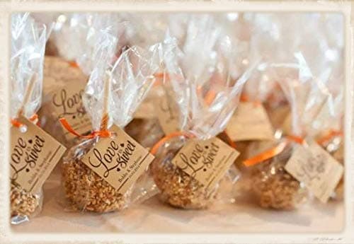 100 Candy Apple Poly Bags 4x2x8