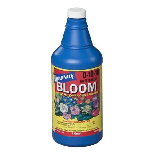 0-10-10 Bloom, 1 quart