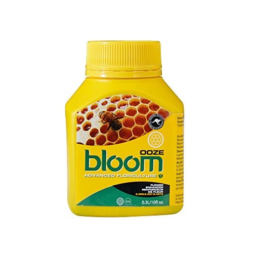 Yellow Bottles Ooze Bloom, 300 Milliliter