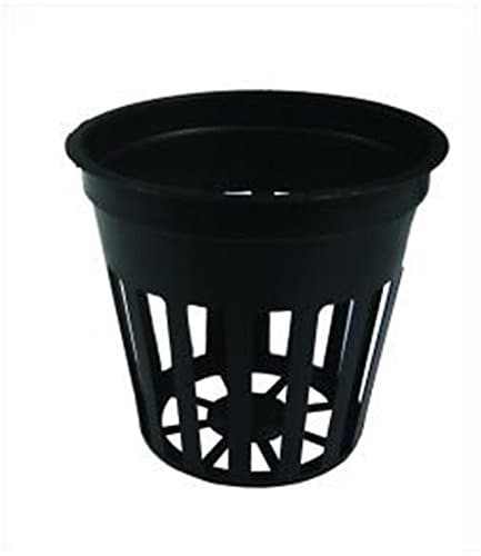 40x 5,5 cm Net Pot for hydroponic systems