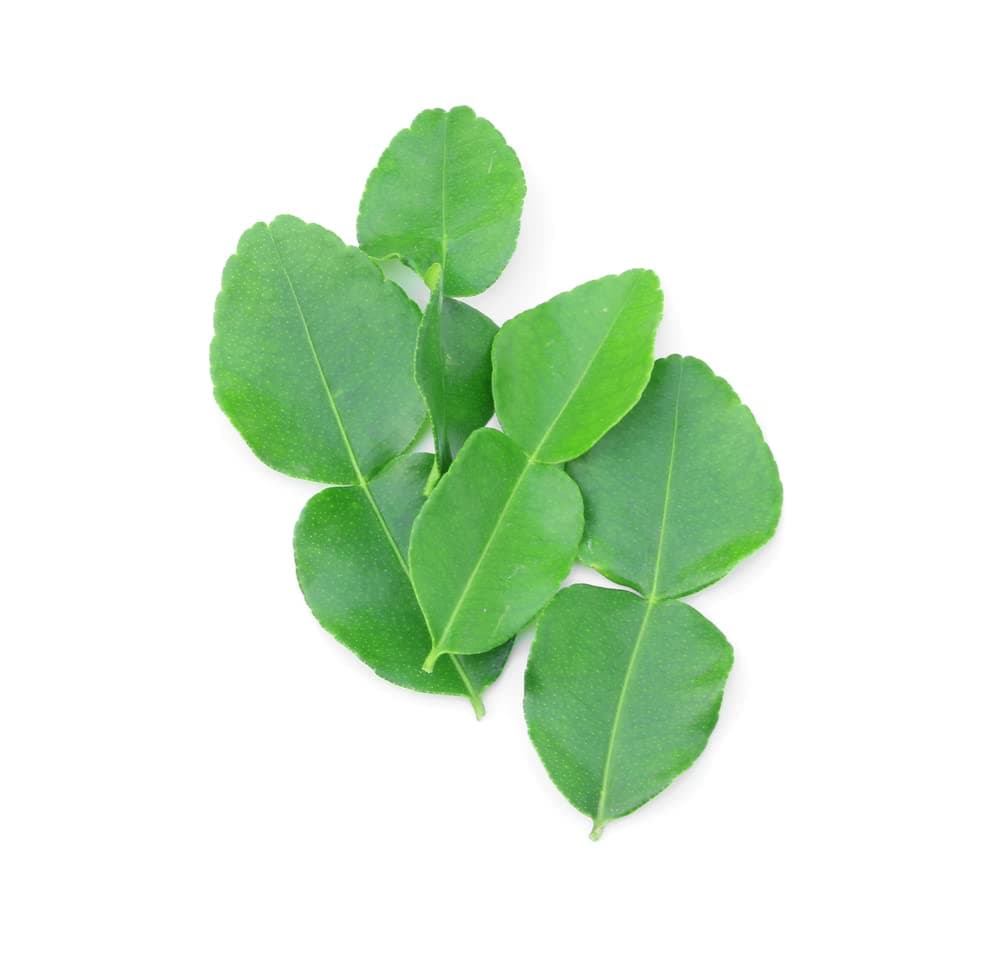 Fresh Thai Kaffir Lime Leaves (75g)