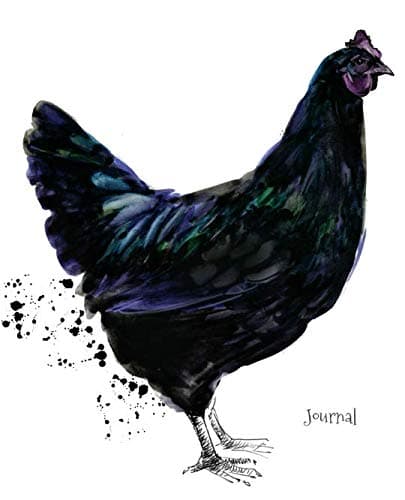 Journal: Ayam Cemani Hen (Chicken Collection)