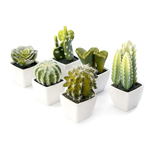 Nattol Artificial Mini Succulent & Cactus Plants in White Cube-Shaped Pots for Home Decor, Set of 6