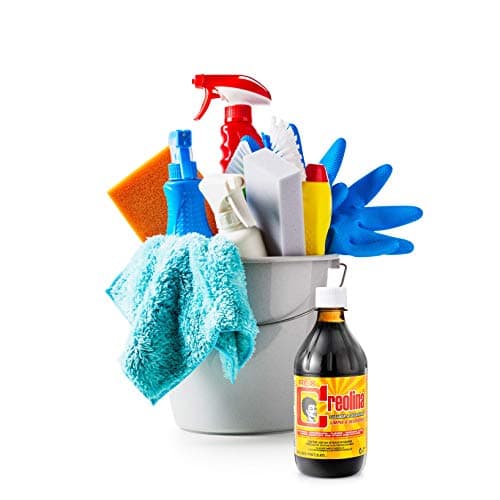 Creolina Rex 16oz 3 Pack