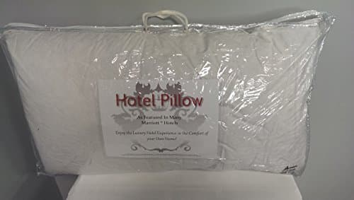 Pacific Coast Down Surround King Pillow Set (2 King Pillows)