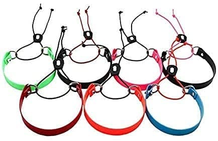 Surefit 3/4'' Biothane E-Bungee Collar XL 18''-32'' Neck Size or Double Box Quick On/Off E-Collar Strap Fits Educator Dogtra (Sky Blue w/Imperial Red Bungee)