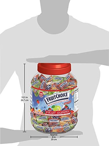 Fruit Choice Gummy Fruit Mix 4.5 lbs Jar 540 Approx piece count